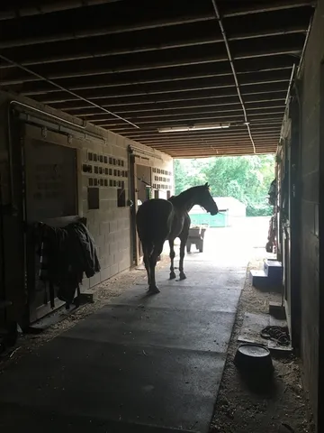 a view of a terrace with wooden fence