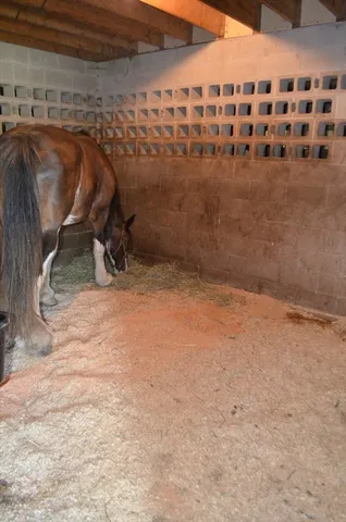 a view of backyard with swimming pool