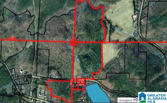 436 Newbury's Road, Unit 79 ACRES Ashland, AL 36251 - Photo 14 of 27