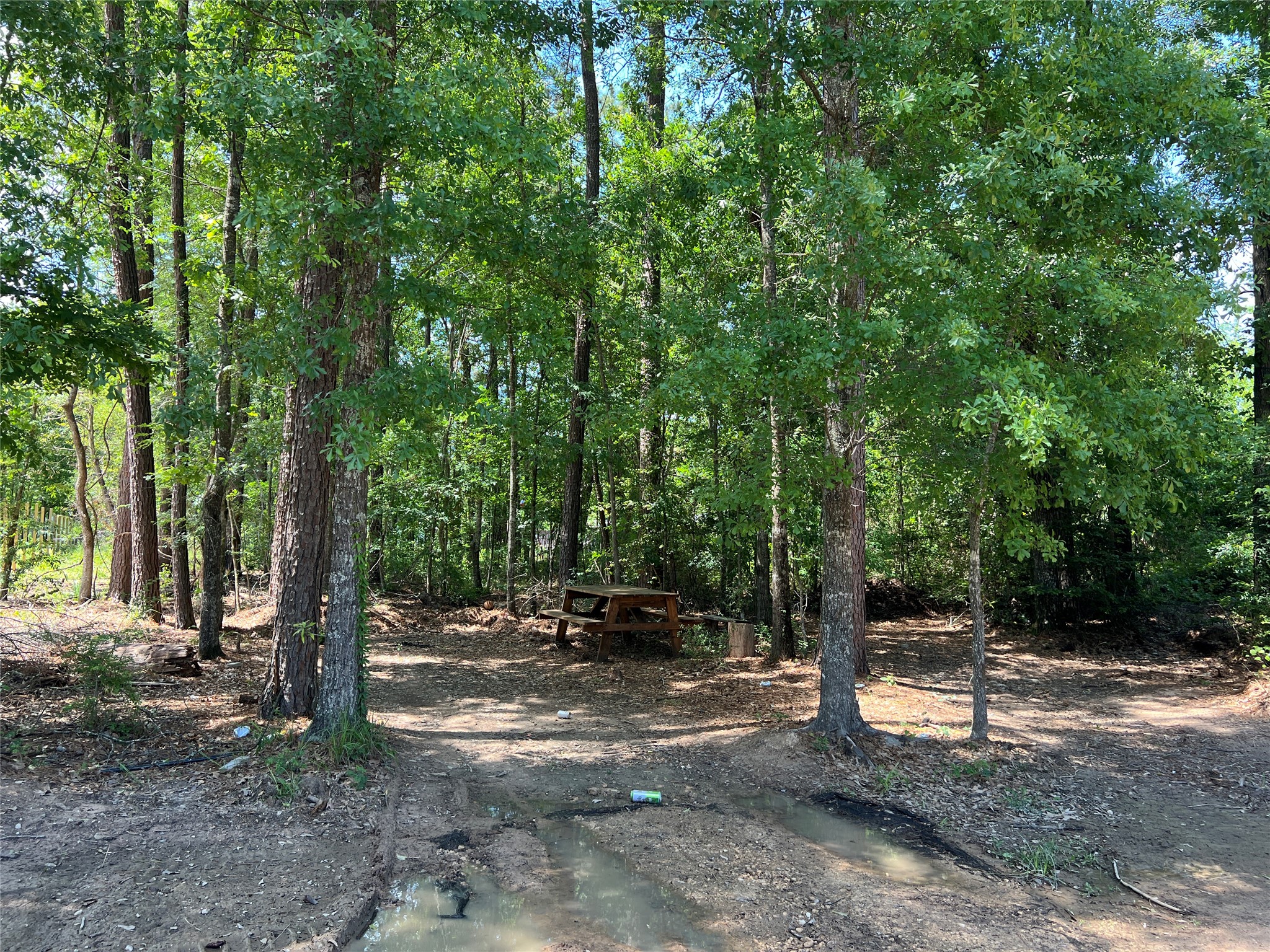 0 Three South Splendora, TX 77372 - Photo 1 of 4