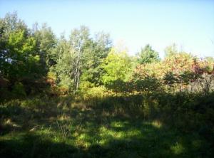 2 Decker Road Whitelaw, WI 54247 - Photo 1 of 1 Primary Photo