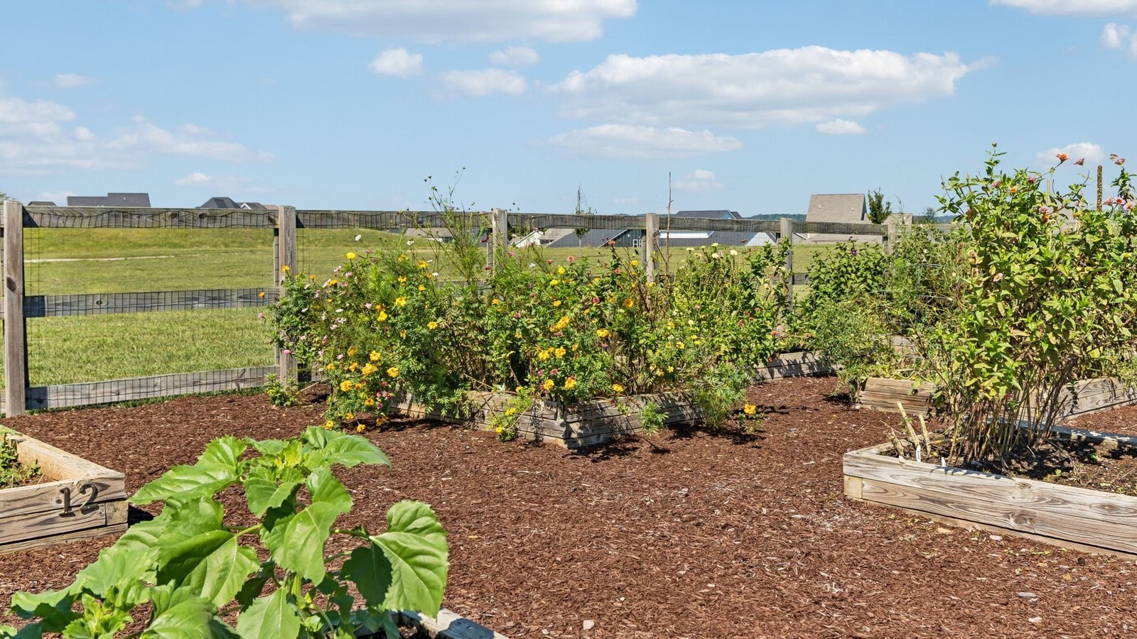 329 Harvest Point Boulevard Spring Hill, TN 37174 - Photo 24 of 45 a view of a garden with lawn chairs and plants