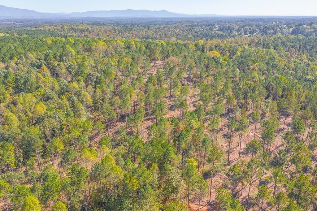 4041 Crow Road Northeast Dalton, GA 30721 - Photo 12 of 17 Gallery Image 12