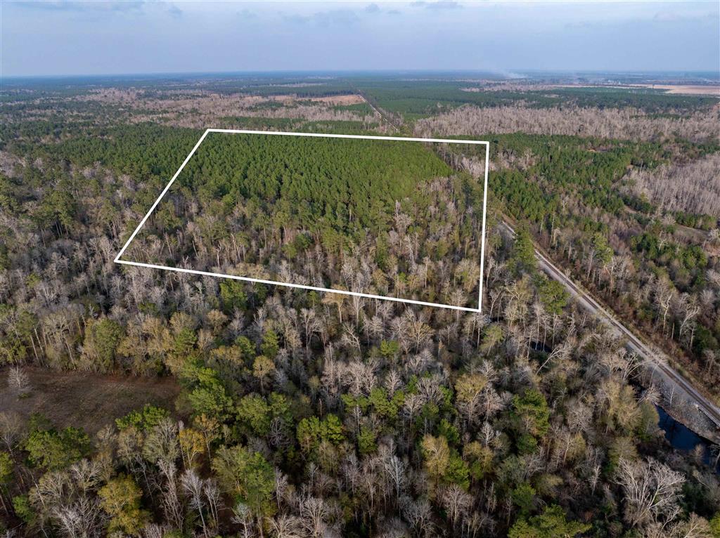 Bob Cooley Road Singer, LA 70660 - Photo 2 of 5