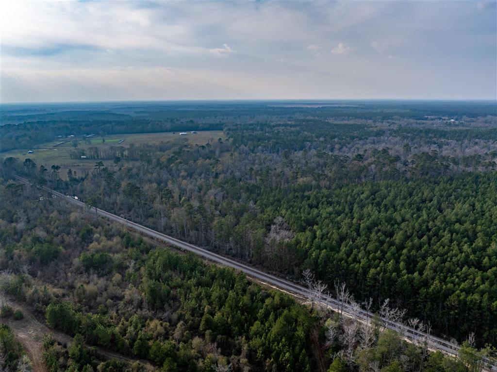 Bob Cooley Road Singer, LA 70660 - Photo 3 of 5