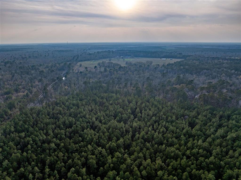 Bob Cooley Road Singer, LA 70660 - Photo 4 of 5