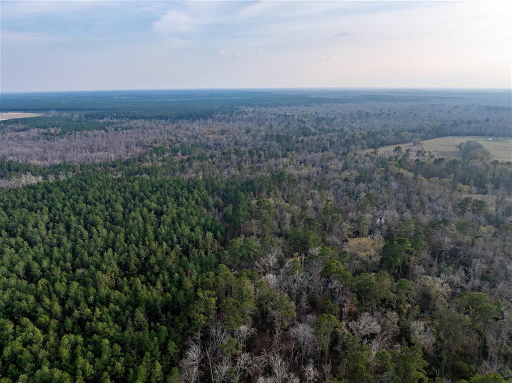 Bob Cooley Road Singer, LA 70660 - Photo 5 of 5