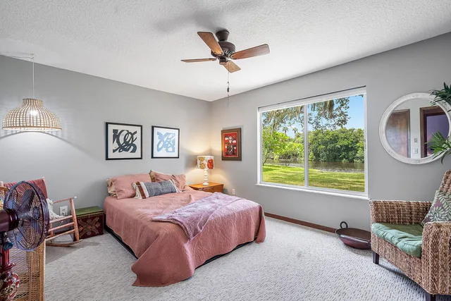 a view of a swimming pool with a garden