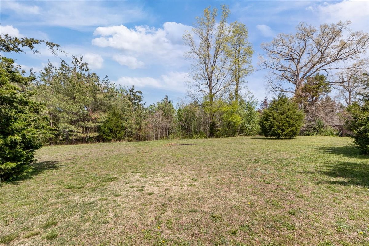 10011 Wendy Way Lyles, TN 37098 - Photo 39 of 51 a view of a yard