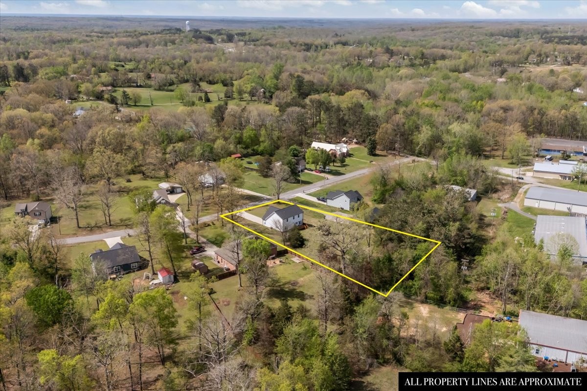 10011 Wendy Way Lyles, TN 37098 - Photo 46 of 51 an aerial view of residential houses with outdoor space and trees