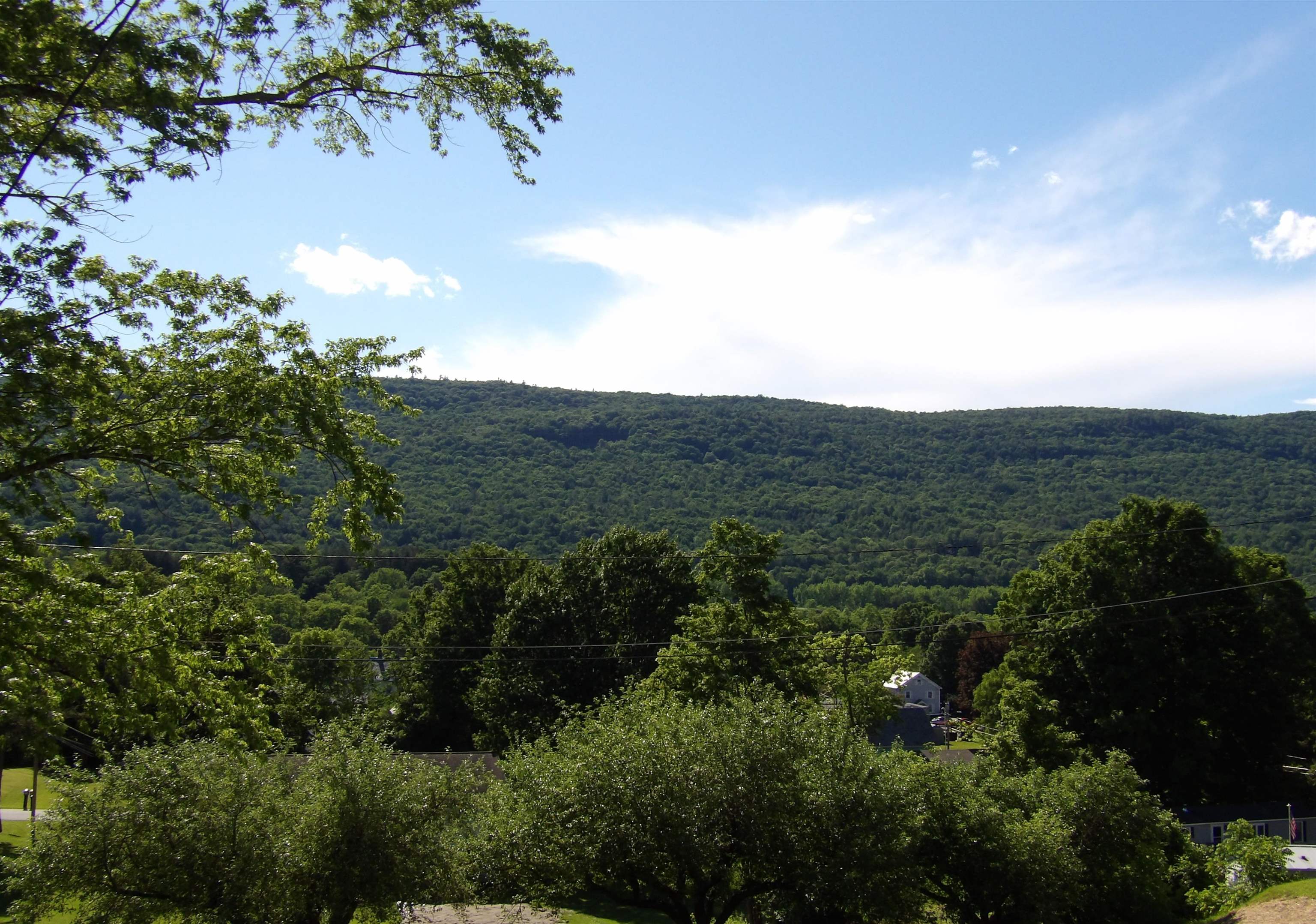 140 Prospect Street Wallingford, VT 05773 - Photo 44 of 51
