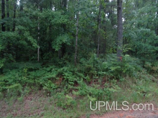 Tbd Powell Lake Road, Unit PARCEL A Wetmore, MI 49895 - Photo 3 of 3 Gallery Image 3