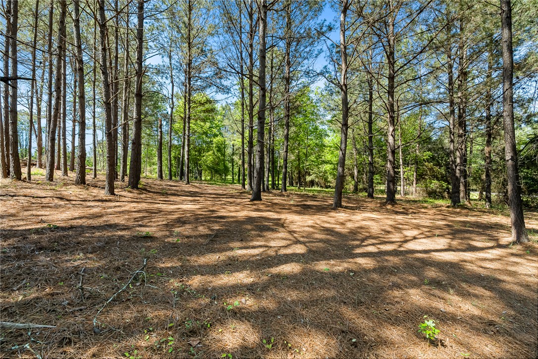 3804 Highway 29 Anderson, SC 29626 - Photo 3 of 9