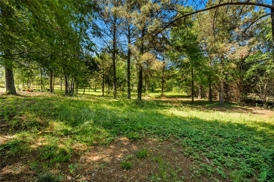 3804 Highway 29 Anderson, SC 29626 - Photo 4 of 9