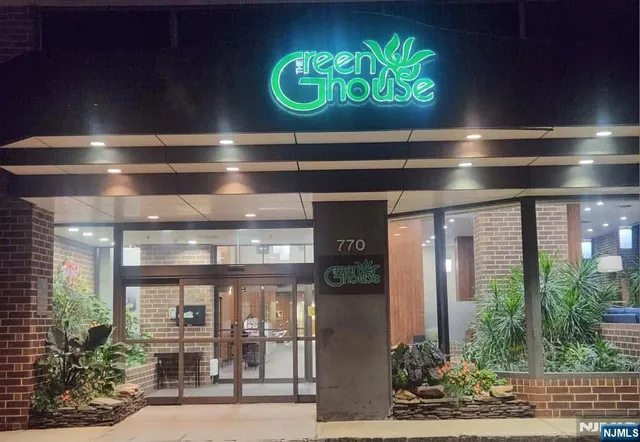 a view of a entryway door with potted plants