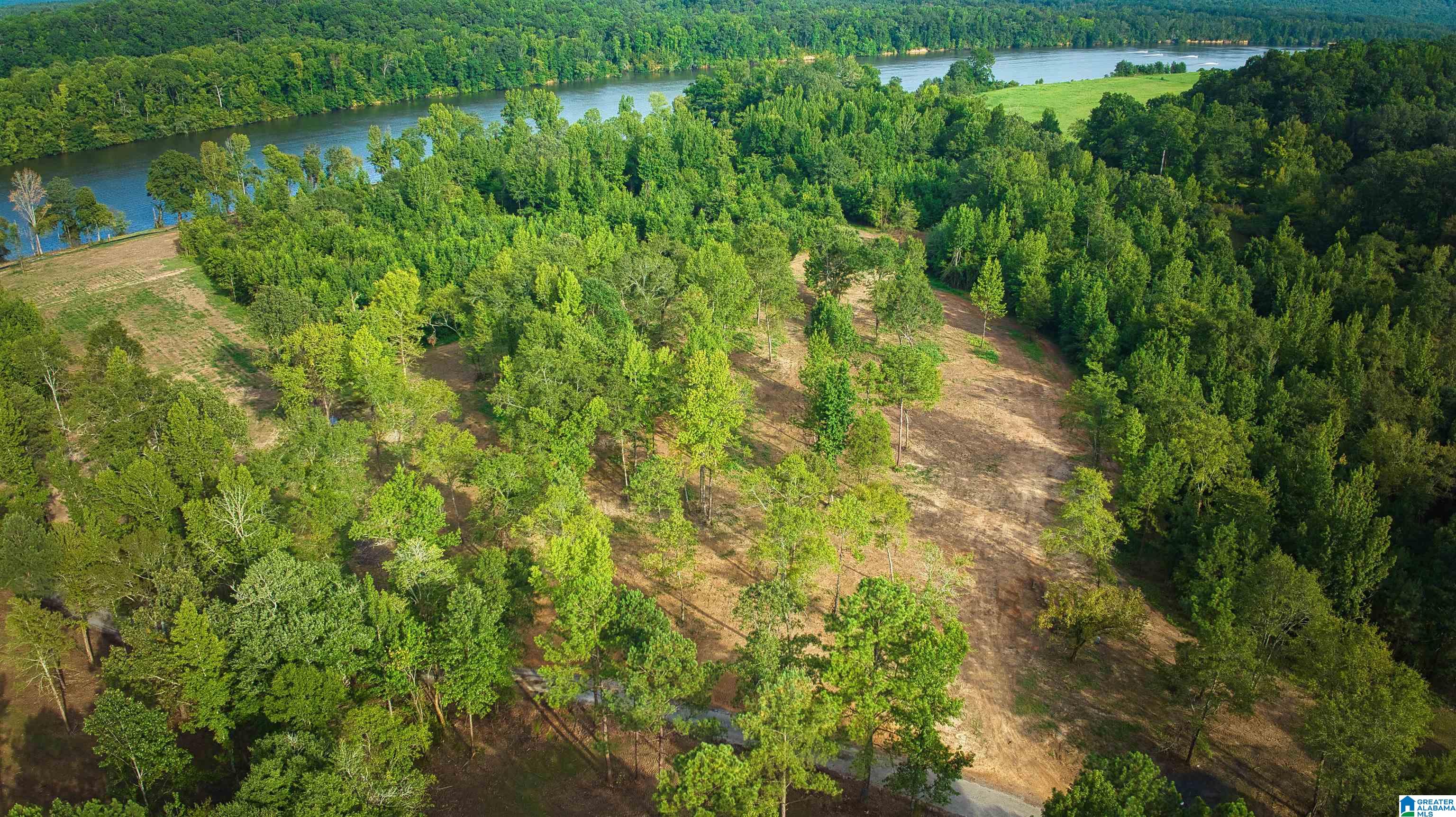 Lot 20 Wester Road, Unit LOT 20 Ragland, AL 35131 - Photo 61 of 68