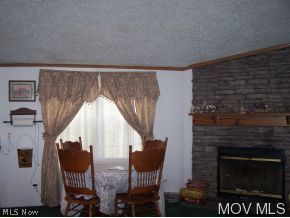 622 Middle Reedy, WV 25270 - Photo 12 of 12 Wood burning fireplace