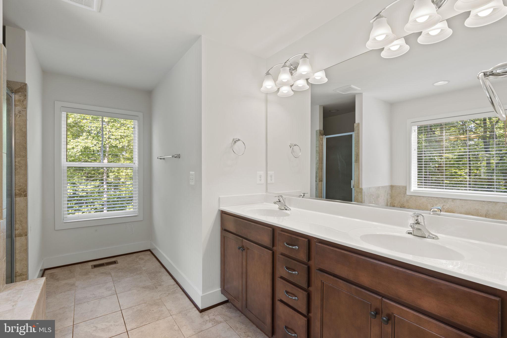 9171 Keyser Road Nokesville, VA 20181 - Photo 19 of 47 Beautiful spa-like bath...