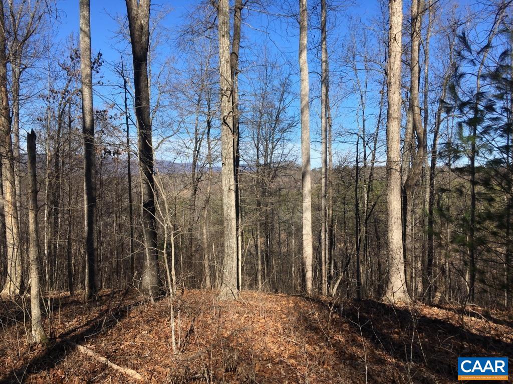 0 Batesville Road Afton, VA 22920 - Photo 11 of 12