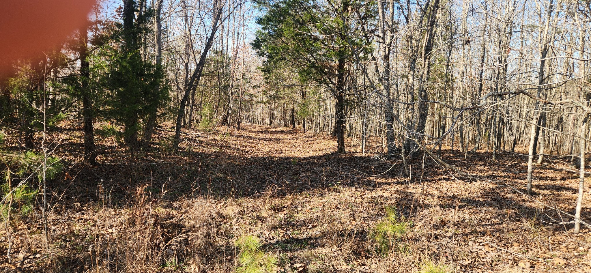 0 Nine 9 Mile Ridge Road Duck River, TN 38454 - Photo 2 of 8