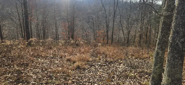 $89,900 | 0 Nine 9 Mile Ridge Road, Duck River, TN 38454