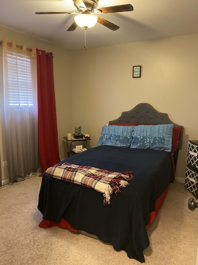 119 White Oaks Road Matteson, IL 60443 - Photo 21 of 42