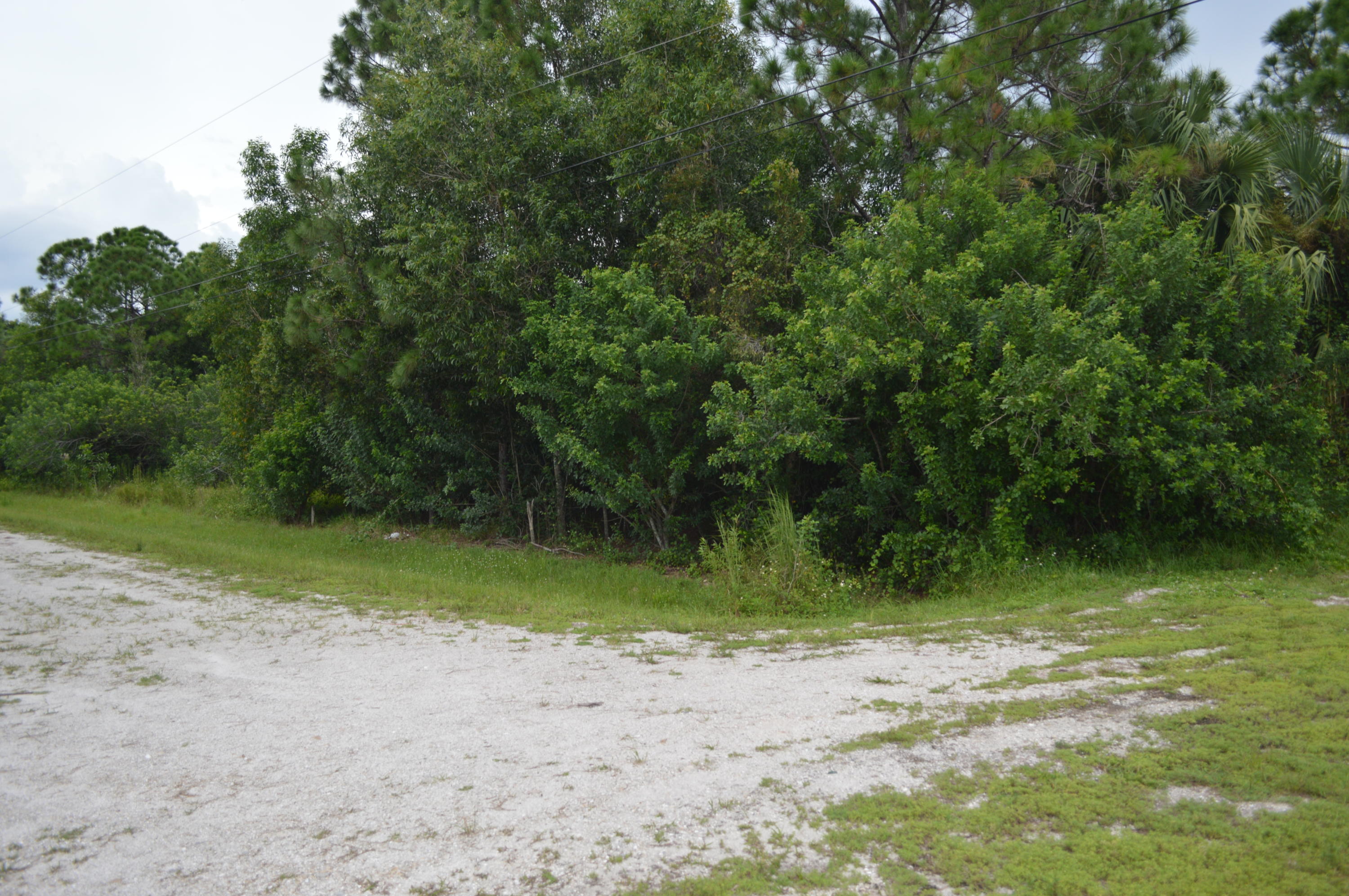 17775 88th Road North Loxahatchee, FL 33470 - Photo 8 of 8 DSC_1002