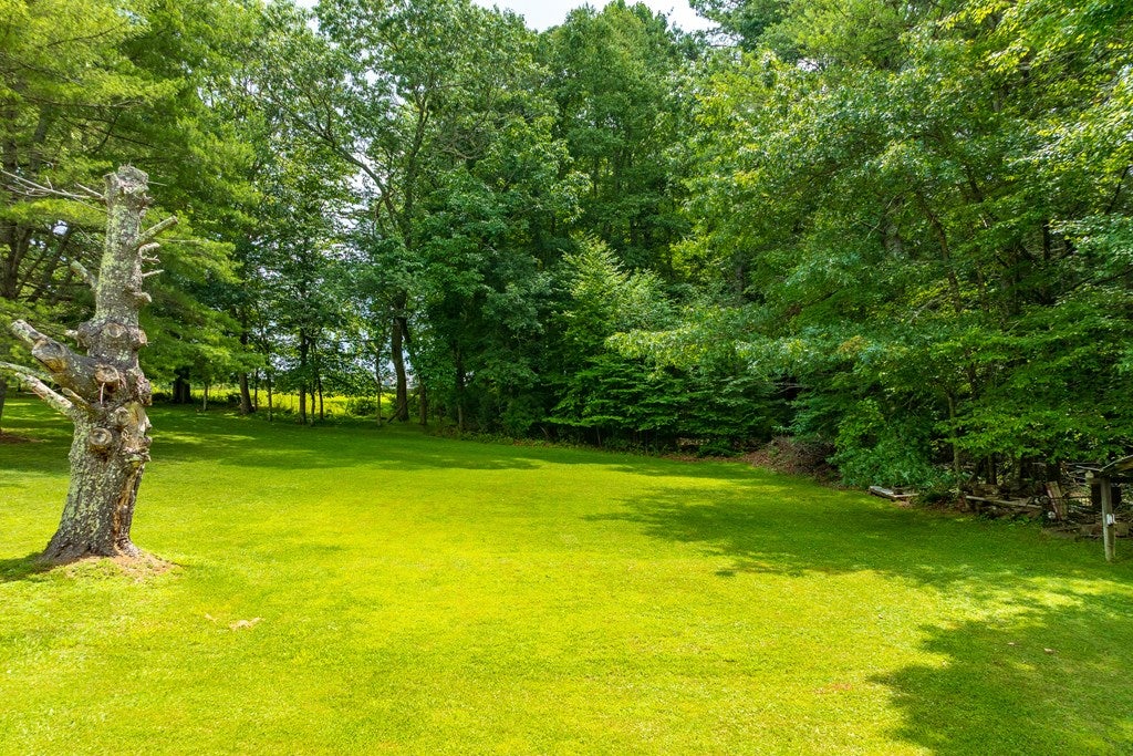 3091 Mallory Road Galax, VA 24333 - Photo 51 of 62 Gallery Image 51