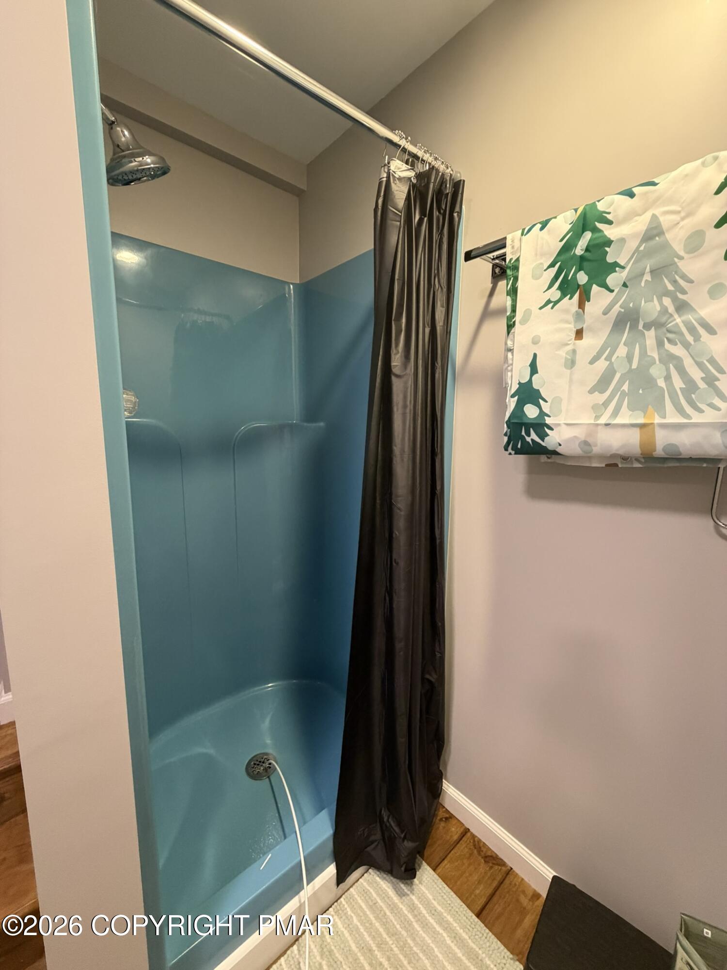 3108 Cherry Ridge Road Bushkill, PA 18324 - Photo 44 of 124 Sauna Shower