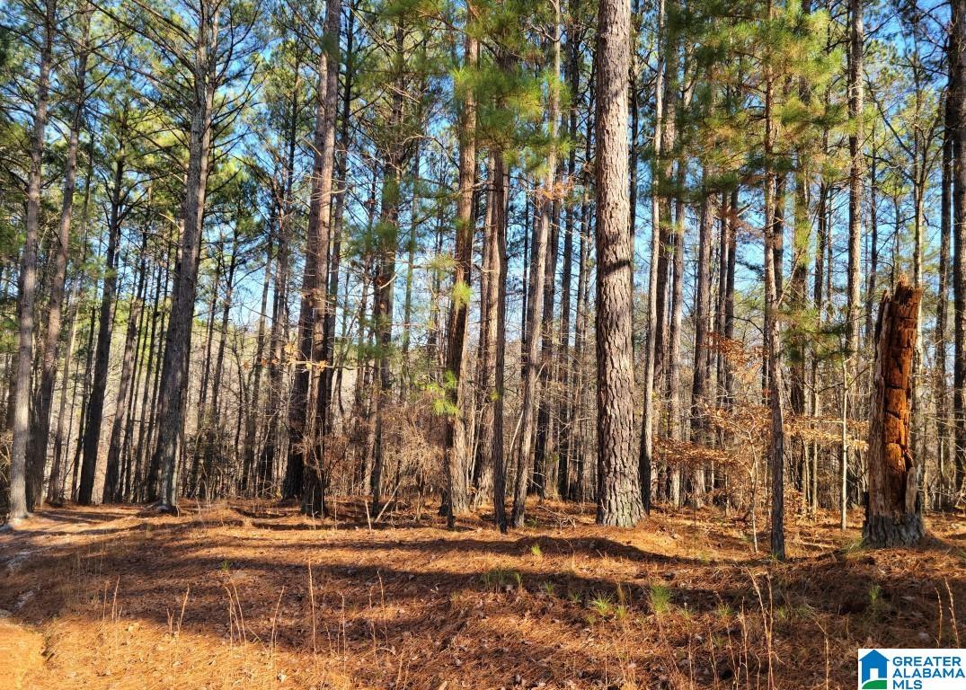 6 County Road, Unit 32 Wedowee, AL 36278 - Photo 5 of 6