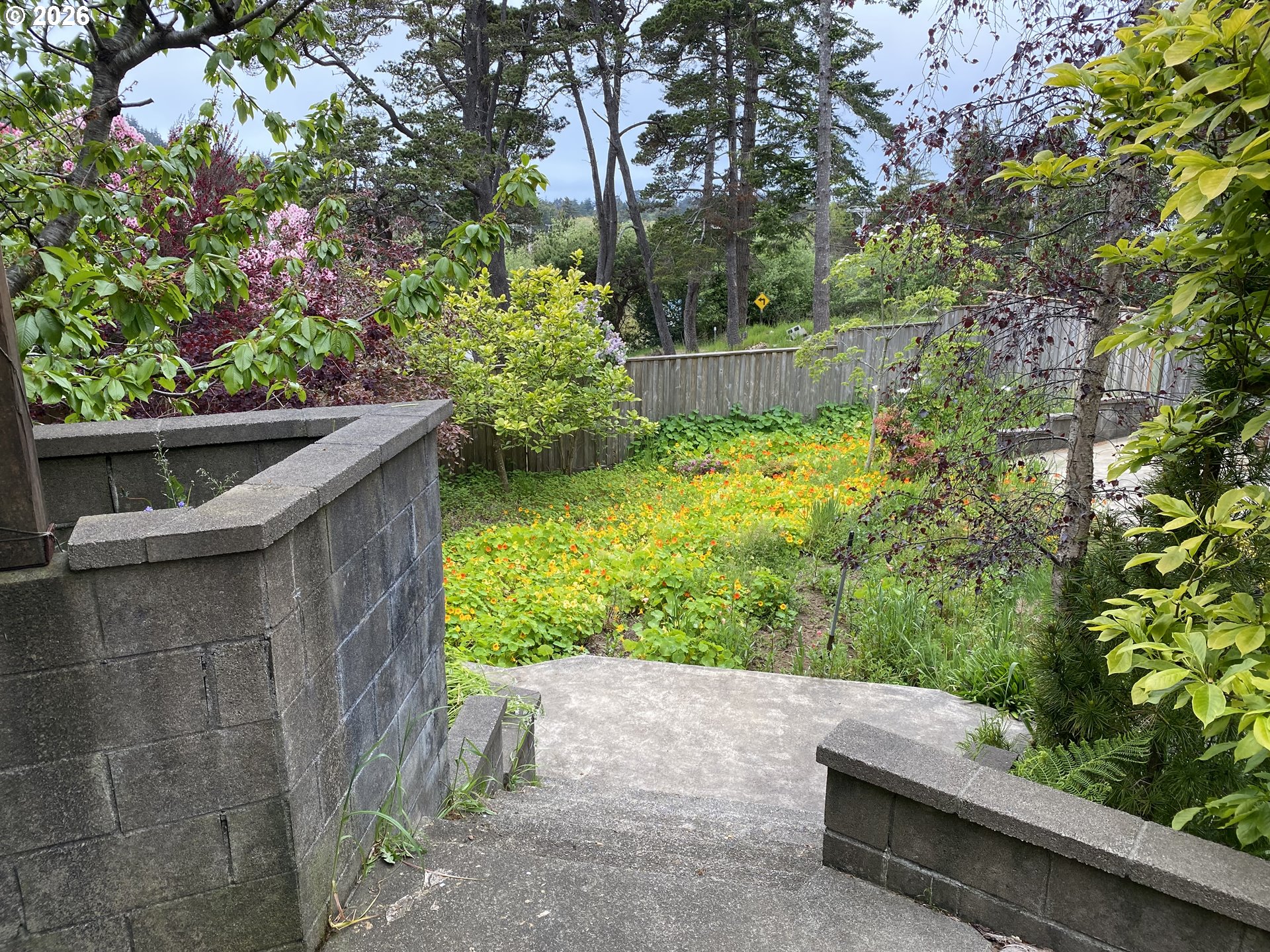 239 10th Street Port Orford, OR 97465 - Photo 4 of 18