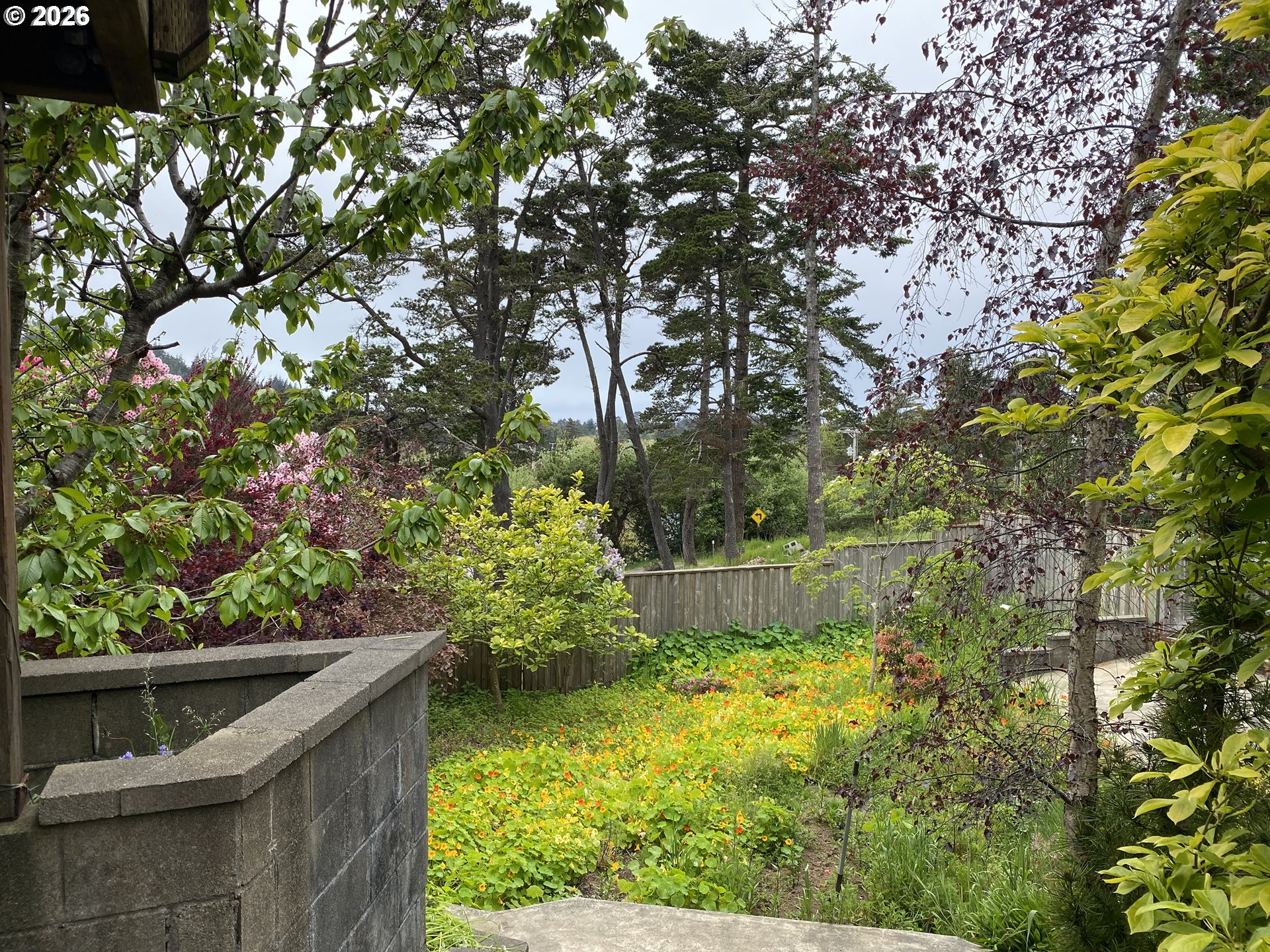239 10th Street Port Orford, OR 97465 - Photo 6 of 18