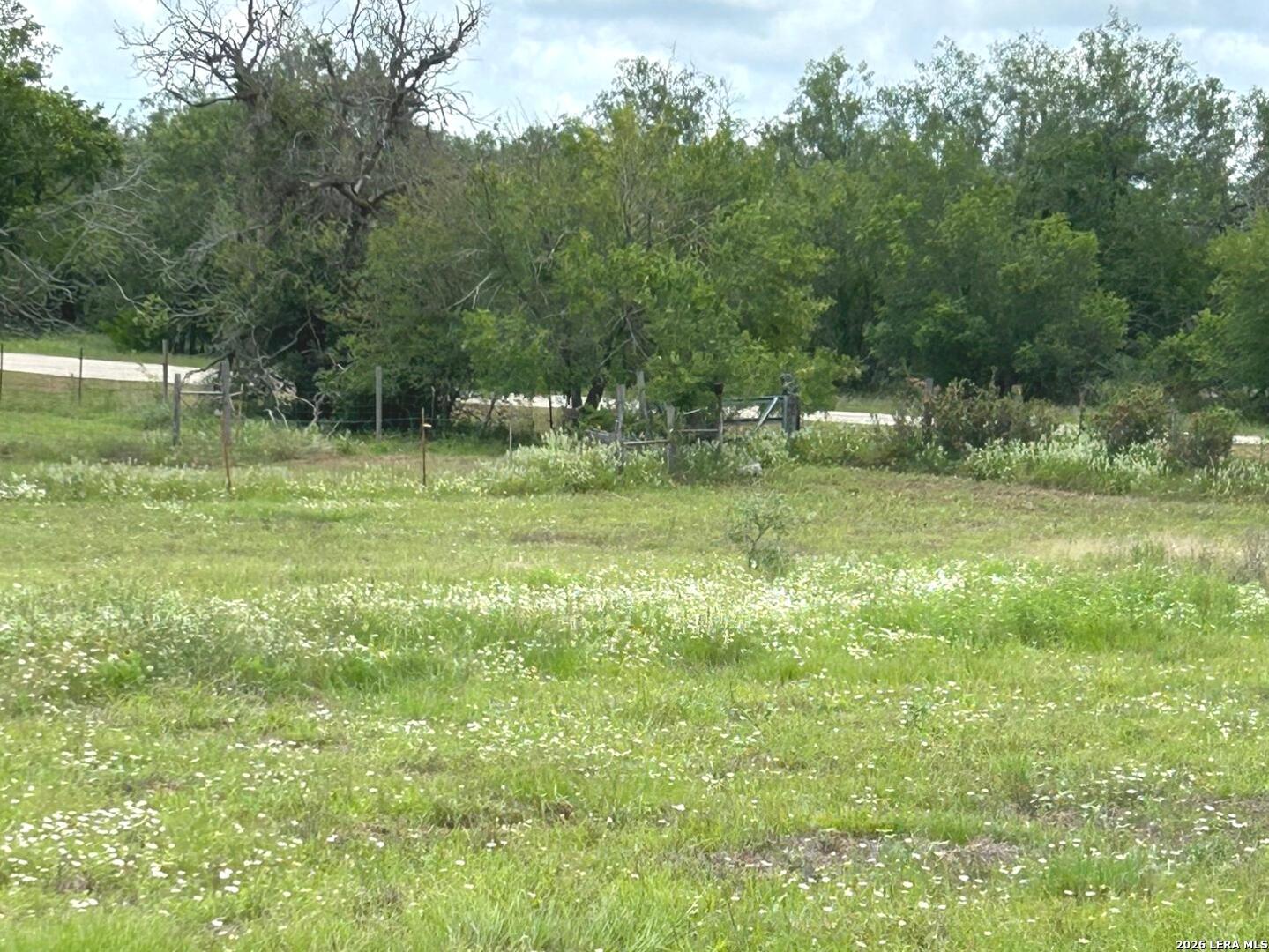 1460 Sandy Elm Road La Vernia, TX 78121 - Photo 20 of 25