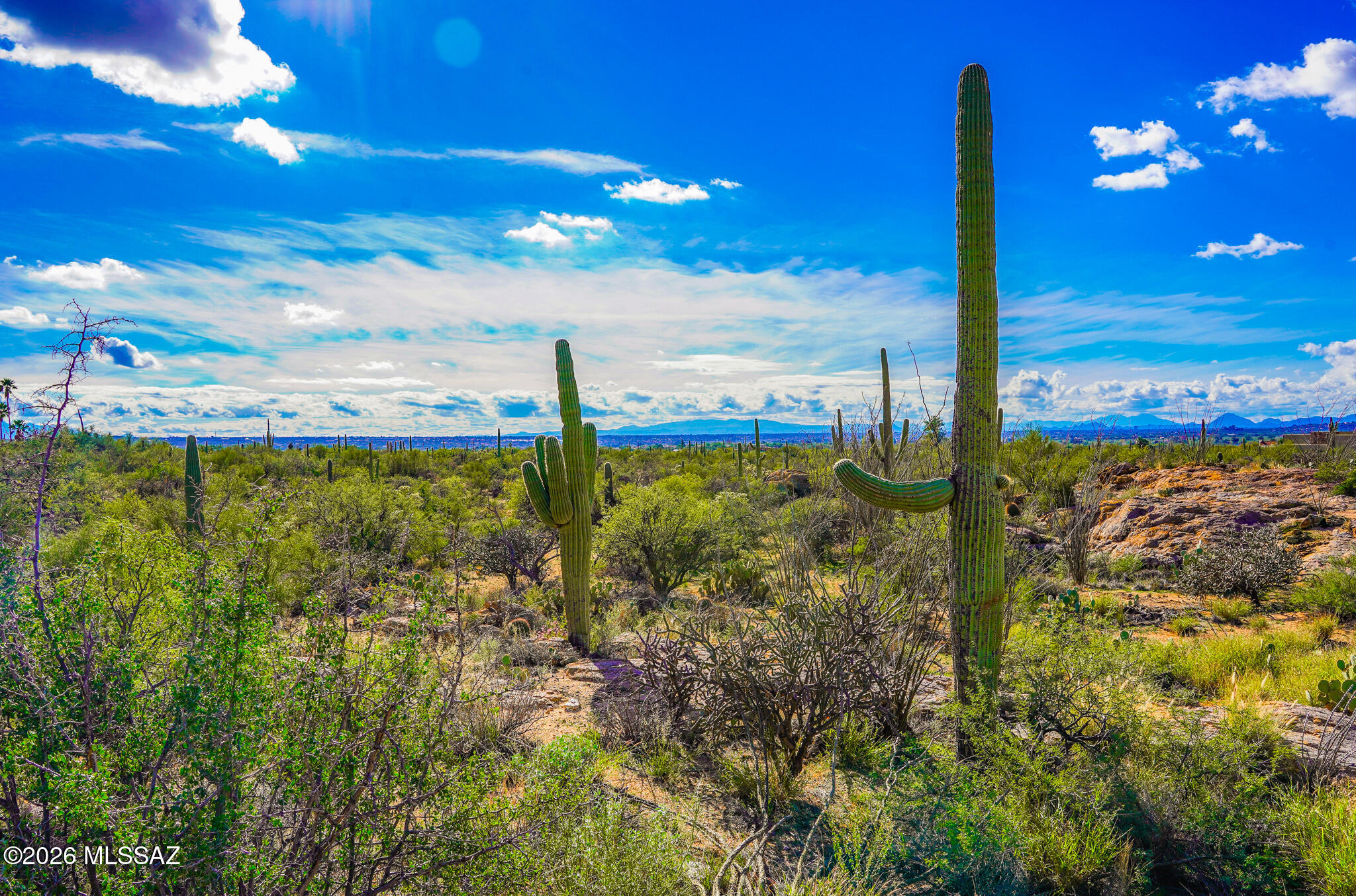 12650 East Roger Road, Unit 8 Tucson, AZ 85749 - Photo 8 of 16 Gallery Image 8