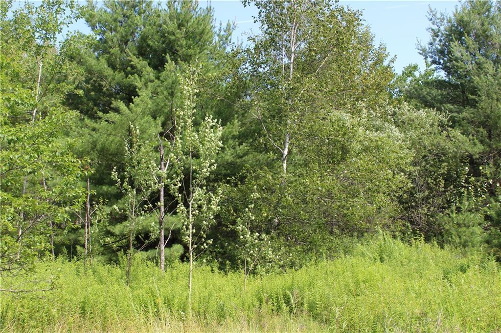 348 Burleigh Road Bangor, ME 04401 - Photo 3 of 8 Photo