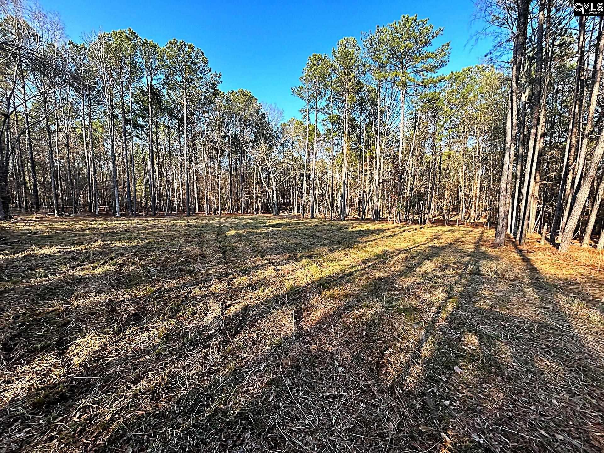 0 Circle H Woods Road Prosperity, SC 29127 - Photo 3 of 21