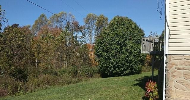 124 Jackson Co Hs Road McKee, KY 40447 - Photo 3 of 16 Photo 3