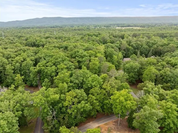 a view of a lush green forest with lush green forest