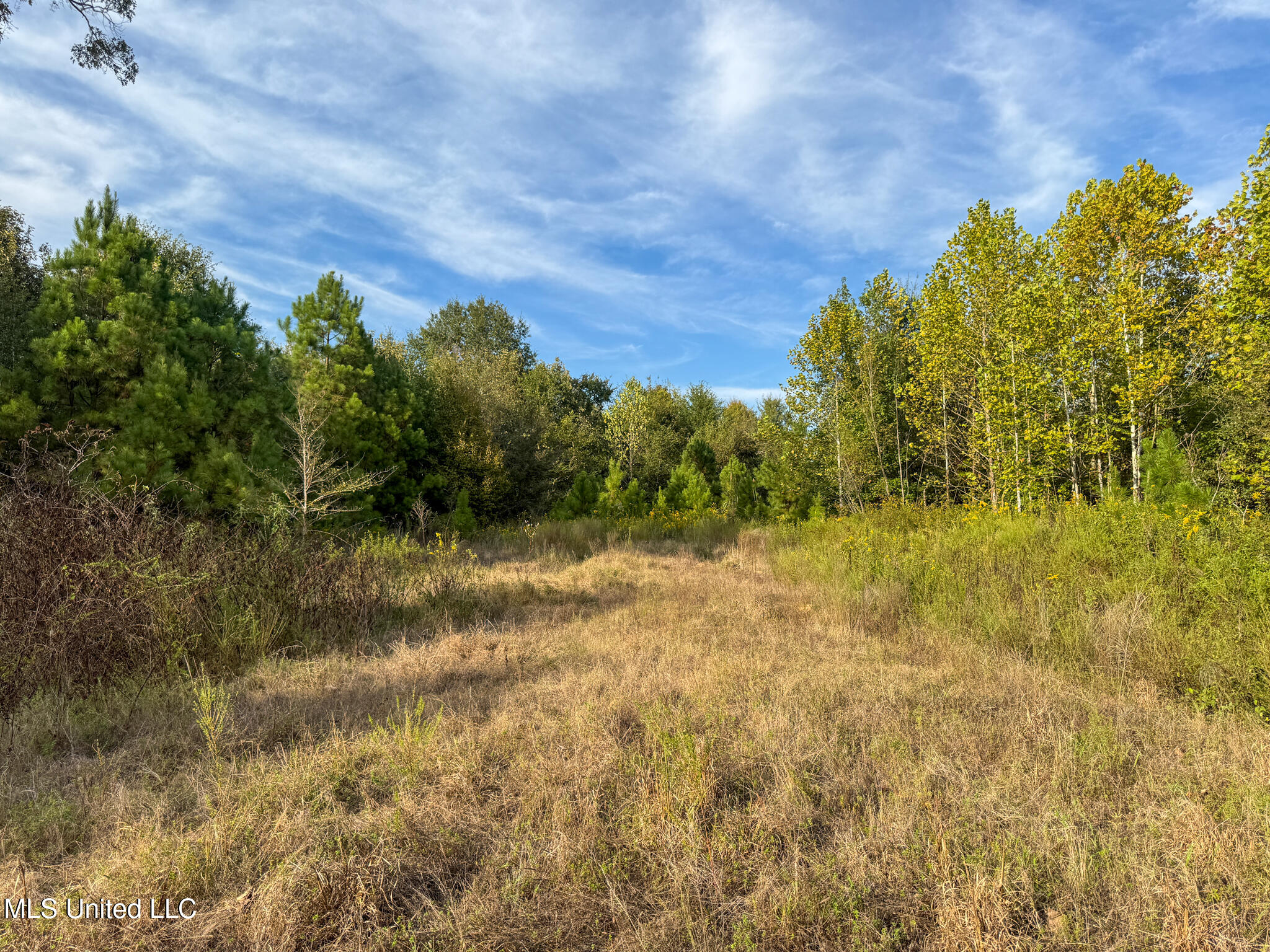 Davis Lane Hernando, MS 38632 - Photo 34 of 43 MLS-DeSoto 329 Prewett (Thompson) -33
