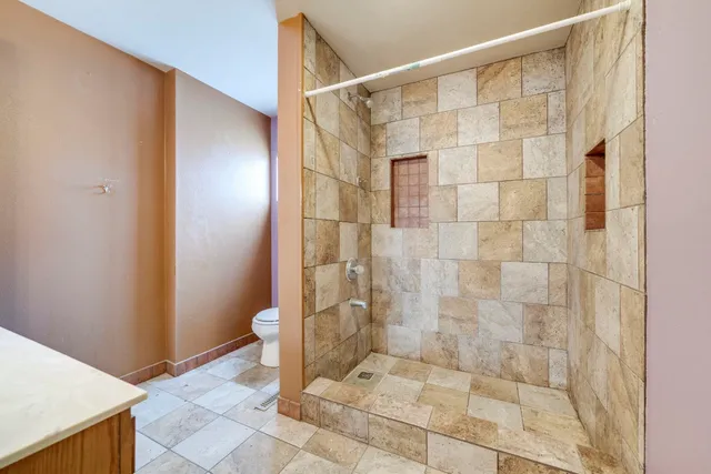 a bathroom with a shower and a toilet