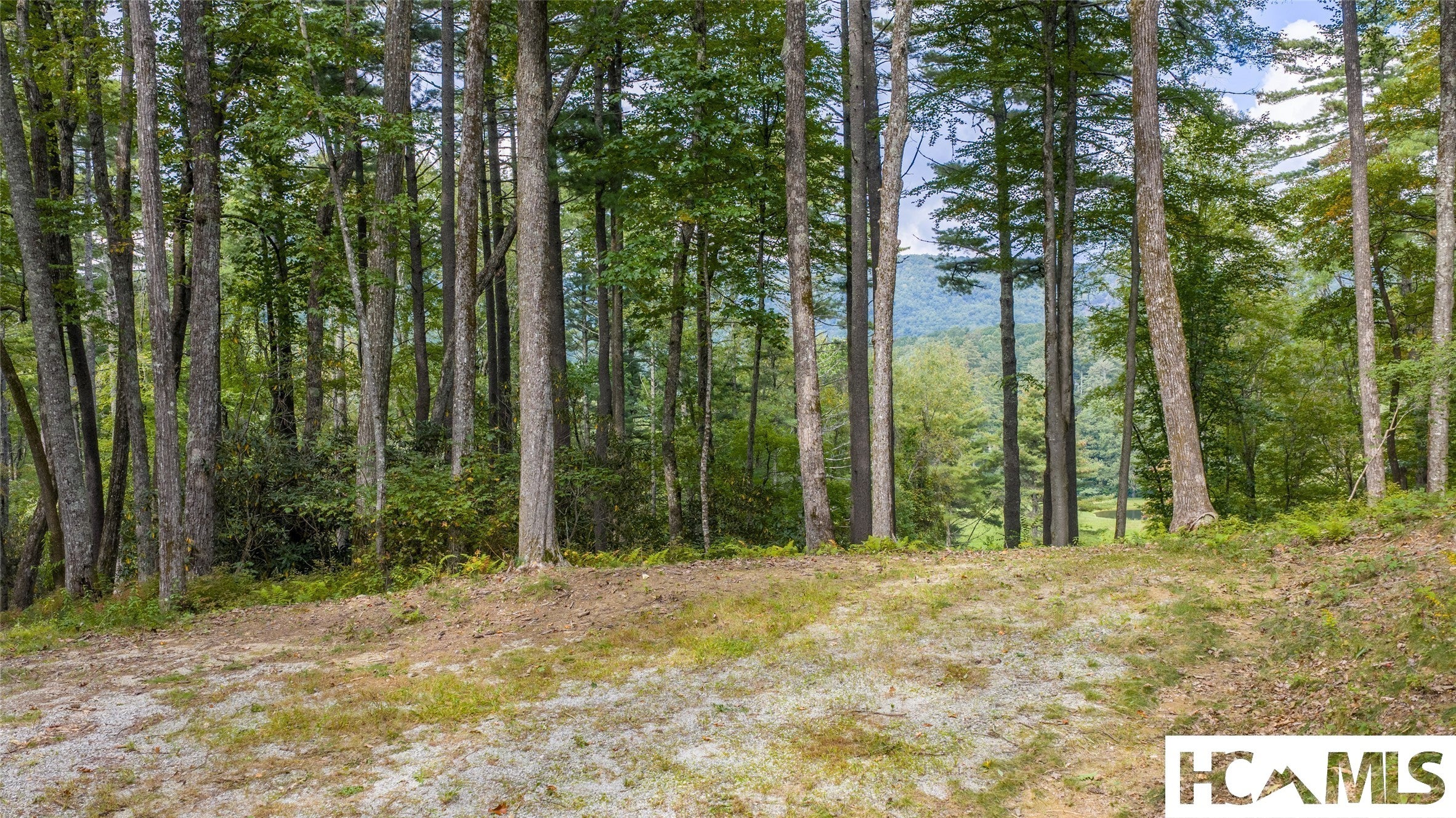 Fe-3 Triple Farm Road Cullowhee, NC 28723 - Photo 7 of 27 Gallery Image 7