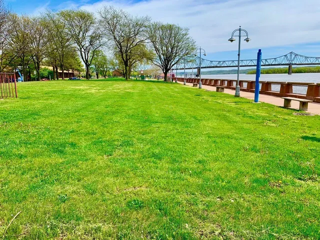 a view of a backyard of a house