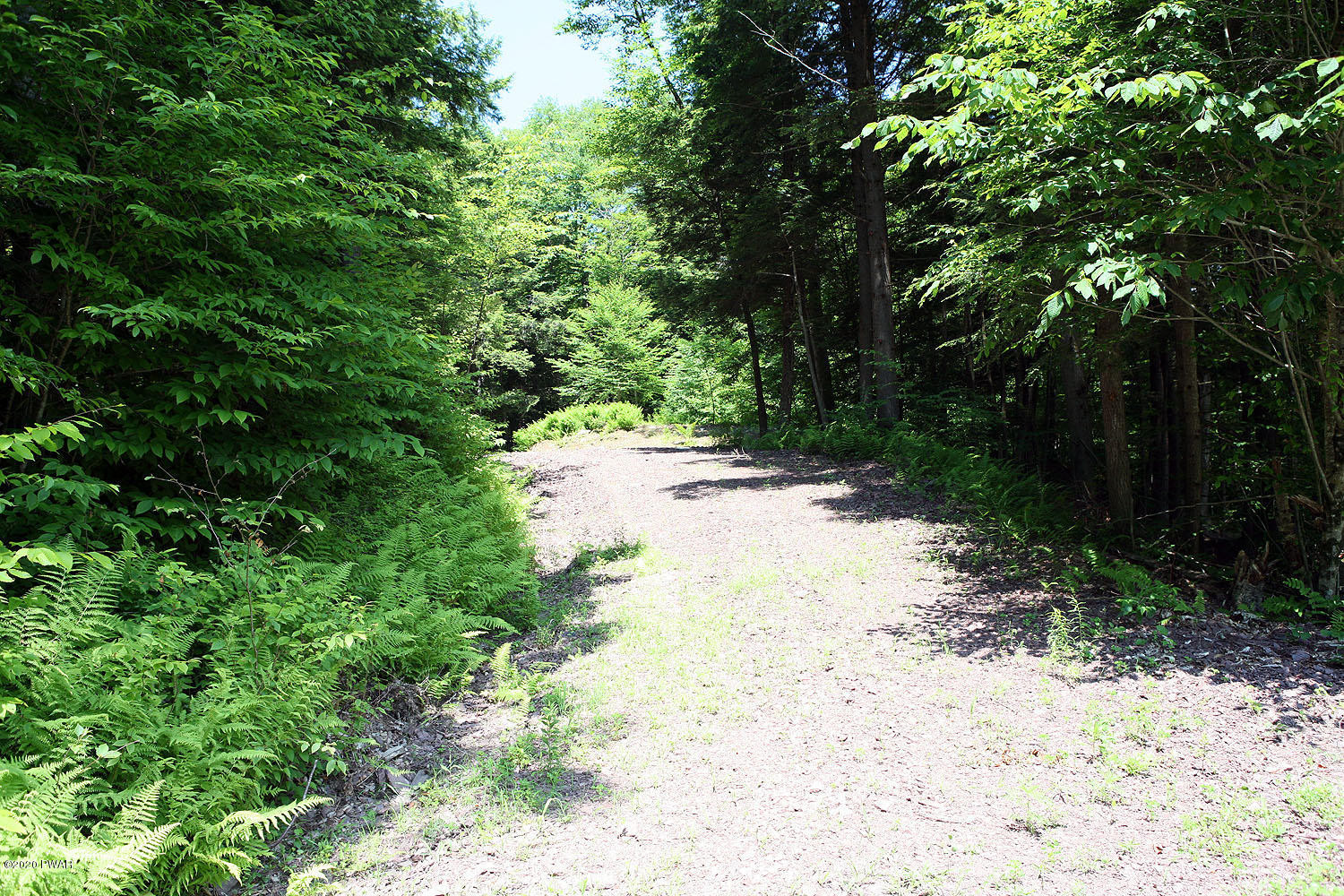 0 Braman Road Equinunk, PA 18417 - Photo 11 of 36