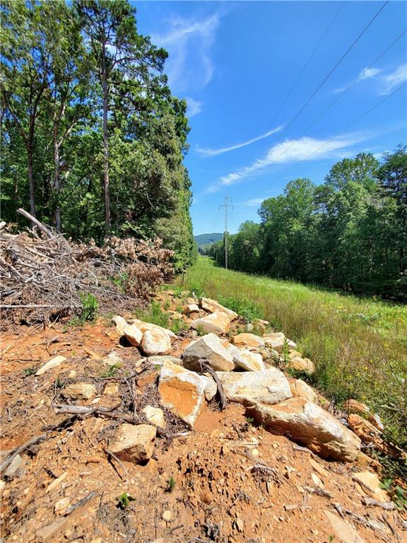 0 Asbury Mill Road Cleveland, GA 30528 - Photo 11 of 17 a view of a yard with an trees
