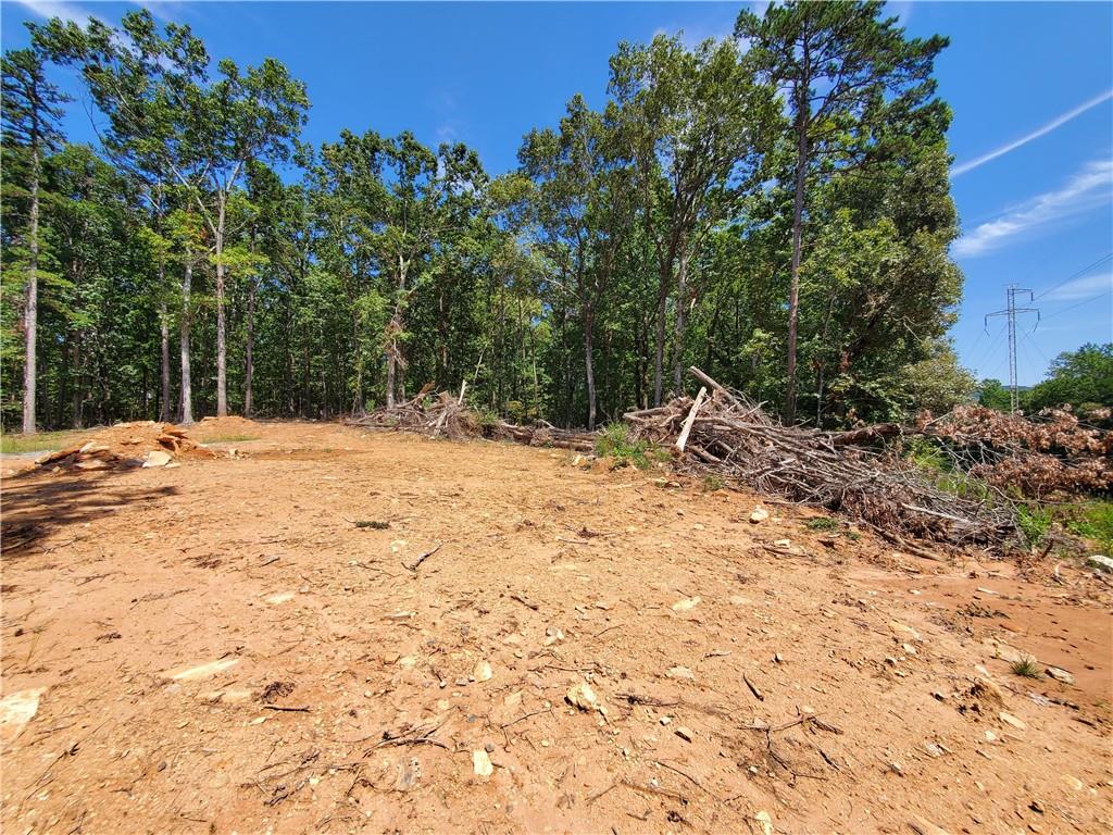 0 Asbury Mill Road Cleveland, GA 30528 - Photo 7 of 17 a view of outdoor space with trees