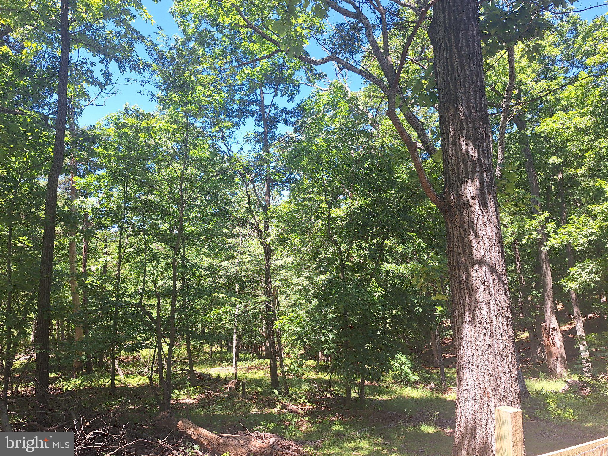 71 Trapper Ridge Lane Hedgesville, WV 25427 - Photo 19 of 36