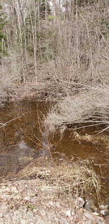 28 Old Greene Road Greene, ME 04236 - Photo 11 of 14 57377516_2412936882263434_68253624611477