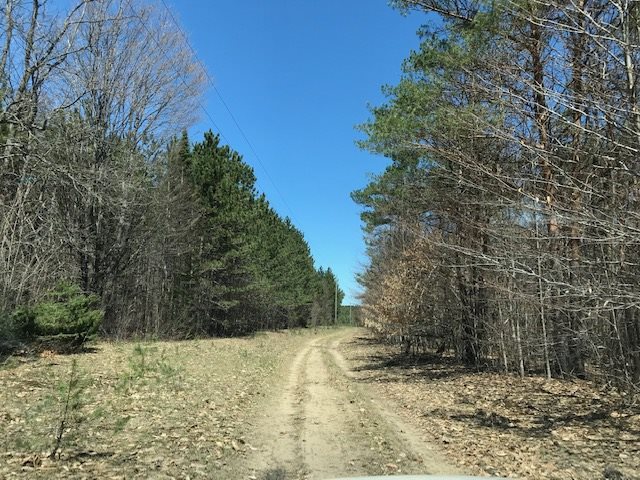 Bailey Road Bellaire, MI 49615 - Photo 3 of 15 1860552-2.JPG