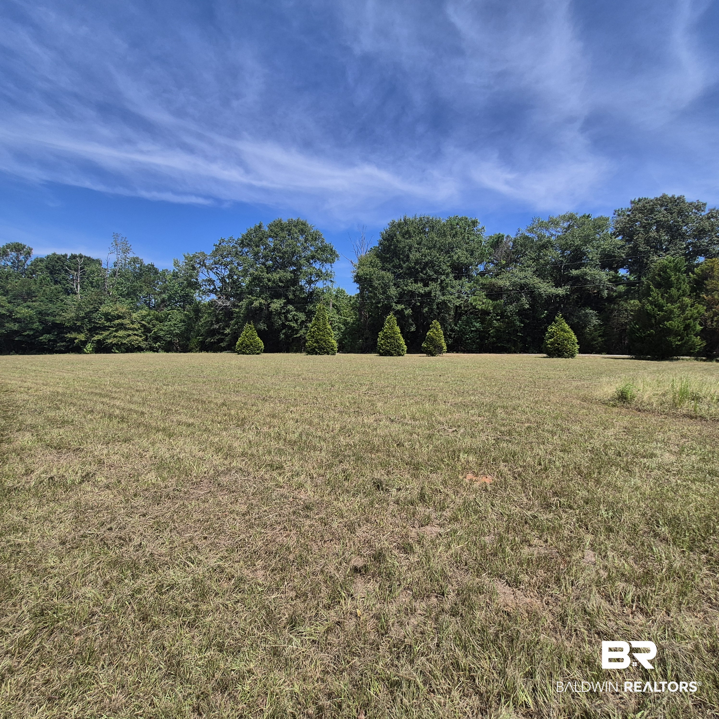 87 Settle Road Frisco City, AL 36445 - Photo 2 of 51 26 acres +/-