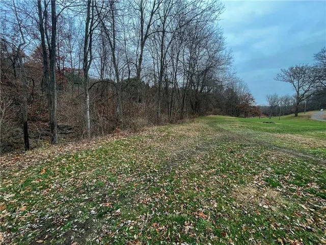 a view of outdoor space and yard